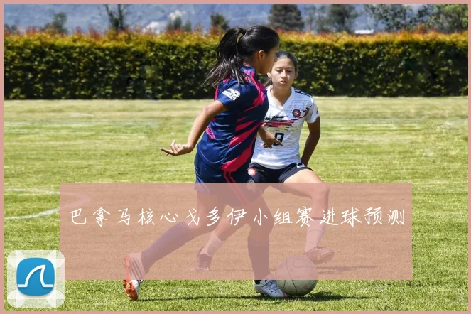 巴拿马核心戈多伊小组赛进球预测