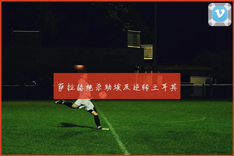 萨拉赫绝杀助埃及逆转土耳其