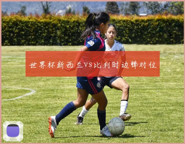 世界杯新西兰vs比利时边锋对位