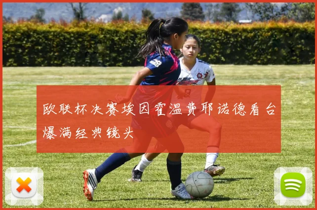 欧联杯决赛埃因霍温费耶诺德看台爆满经典镜头