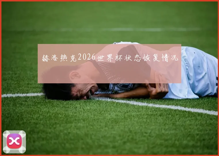 赫洛热克2026世界杯状态恢复情况
