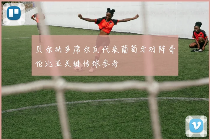 贝尔纳多席尔瓦代表葡萄牙对阵哥伦比亚关键传球参考