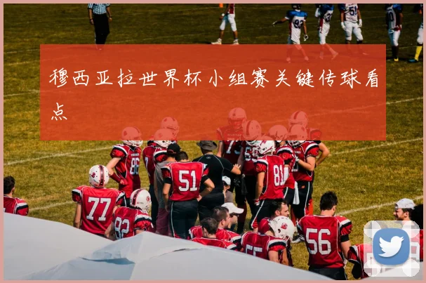 穆西亚拉世界杯小组赛关键传球看点