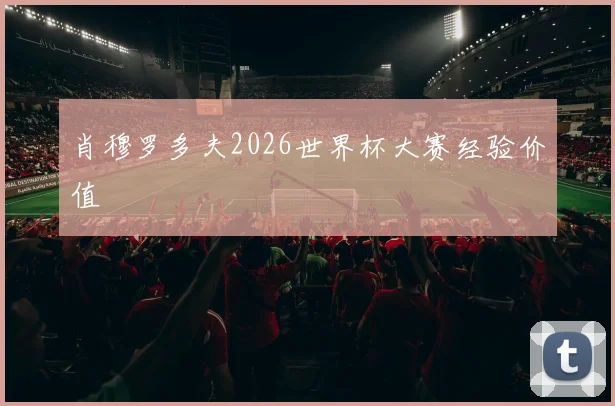 肖穆罗多夫2026世界杯大赛经验价值