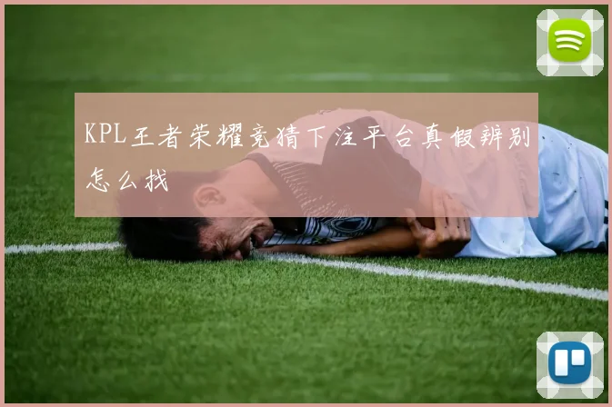 KPL王者荣耀竞猜下注平台真假辨别怎么找