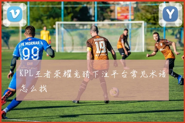 KPL王者荣耀竞猜下注平台常见术语怎么找