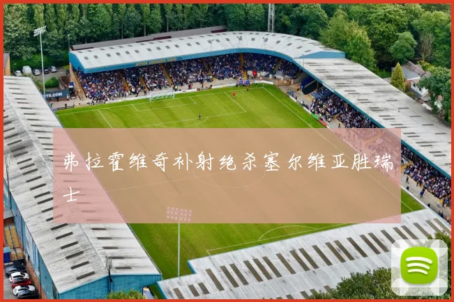弗拉霍维奇补射绝杀塞尔维亚胜瑞士