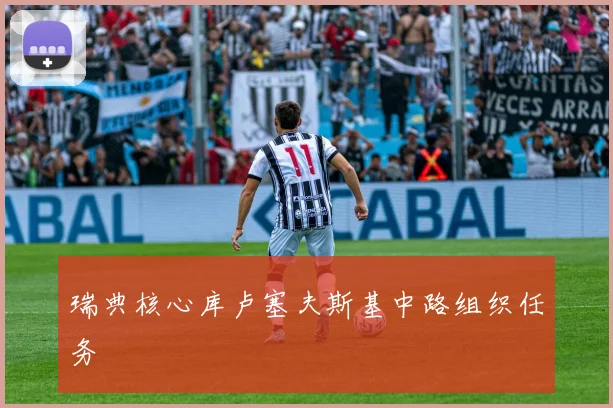 瑞典核心库卢塞夫斯基中路组织任务