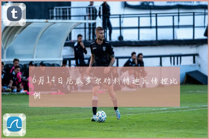 6月14日厄瓜多尔对科特迪瓦传控比例