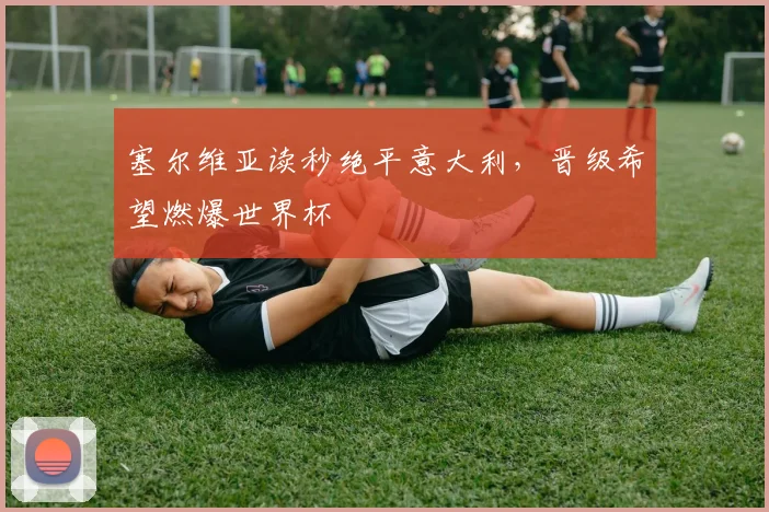 塞尔维亚读秒绝平意大利，晋级希望燃爆世界杯