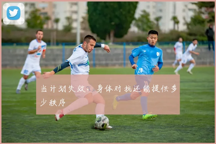 当计划失效，身体对抗还能提供多少秩序