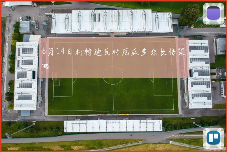 6月14日科特迪瓦对厄瓜多尔长传策略